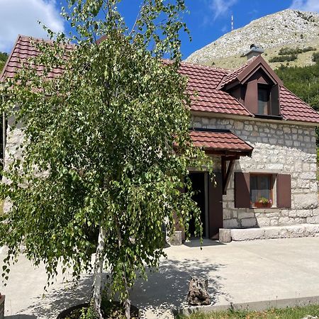Lovcen Holiday Home 采蒂涅 外观 照片