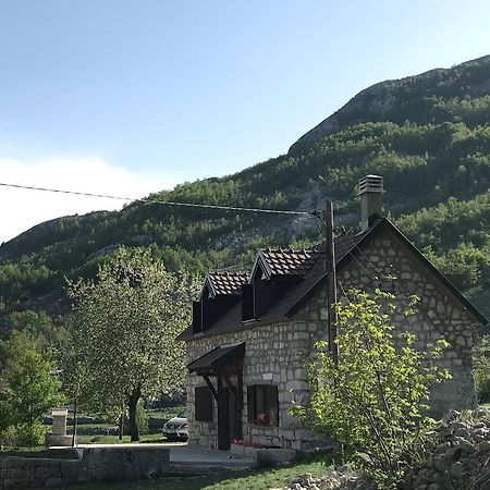 Lovcen Holiday Home 采蒂涅 外观 照片