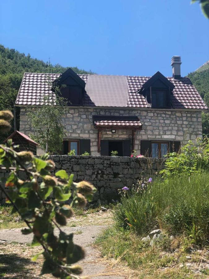 Lovcen Holiday Home 采蒂涅 外观 照片