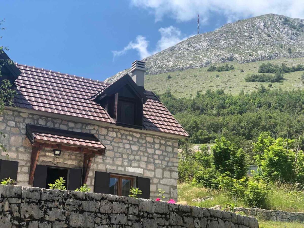 Lovcen Holiday Home 采蒂涅 外观 照片