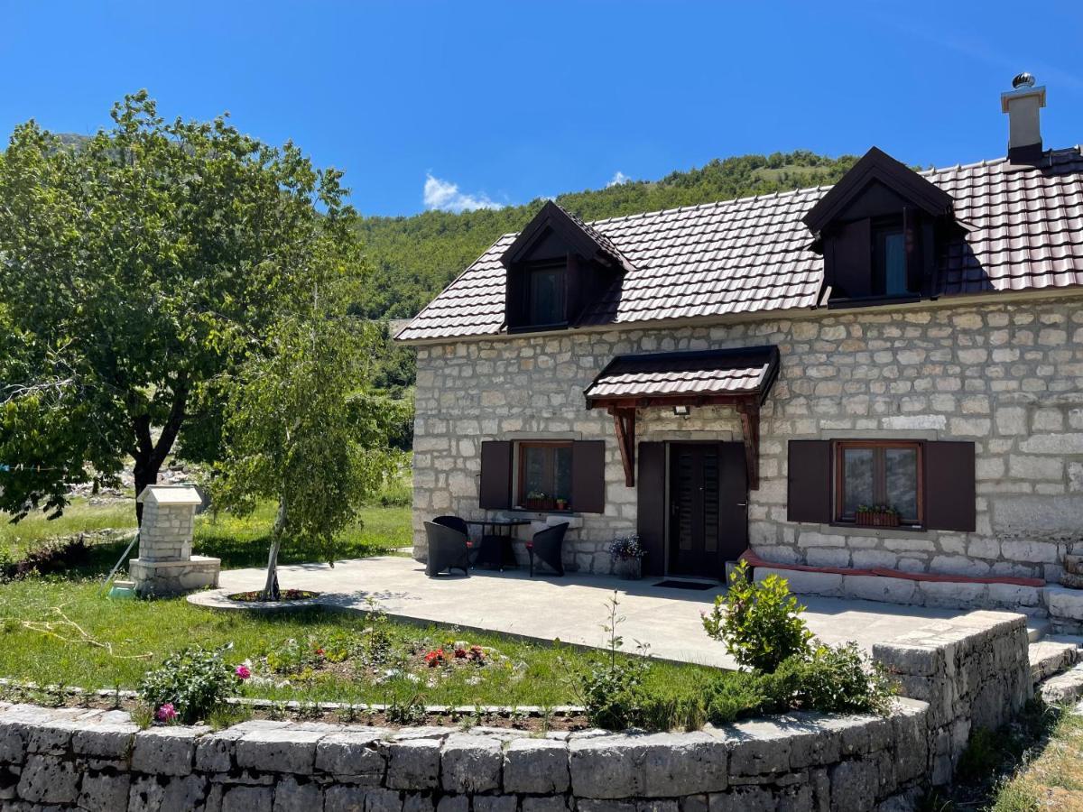 Lovcen Holiday Home 采蒂涅 外观 照片