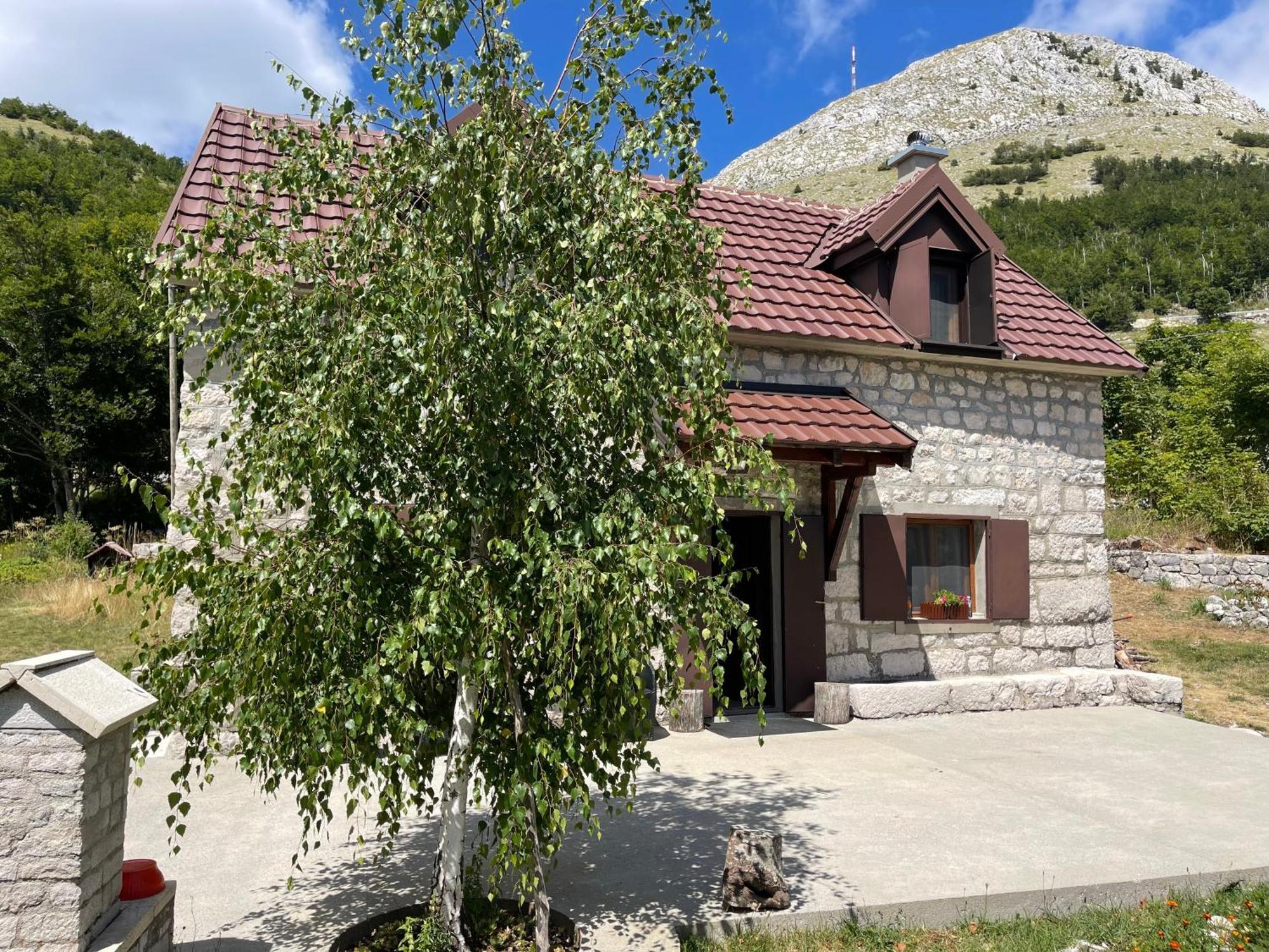 Lovcen Holiday Home 采蒂涅 外观 照片