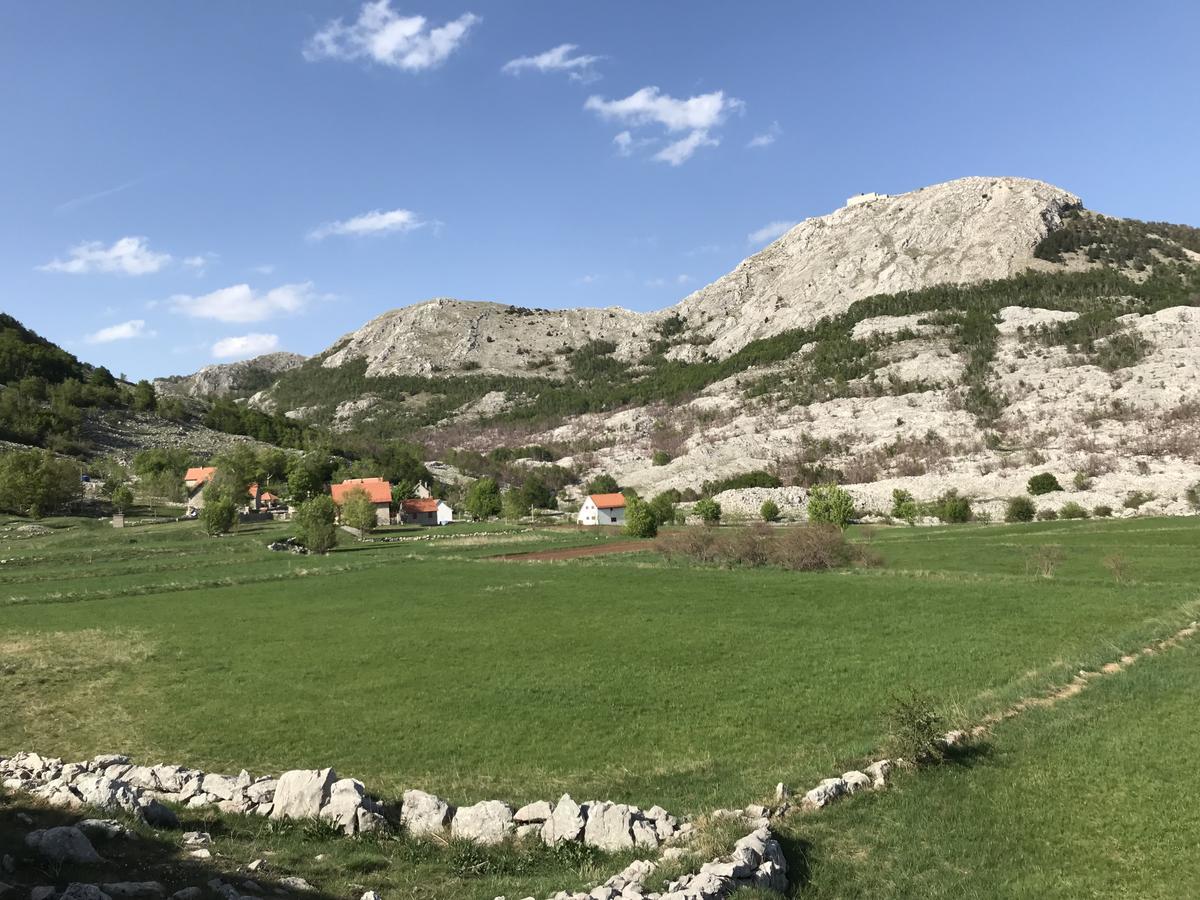 Lovcen Holiday Home 采蒂涅 外观 照片