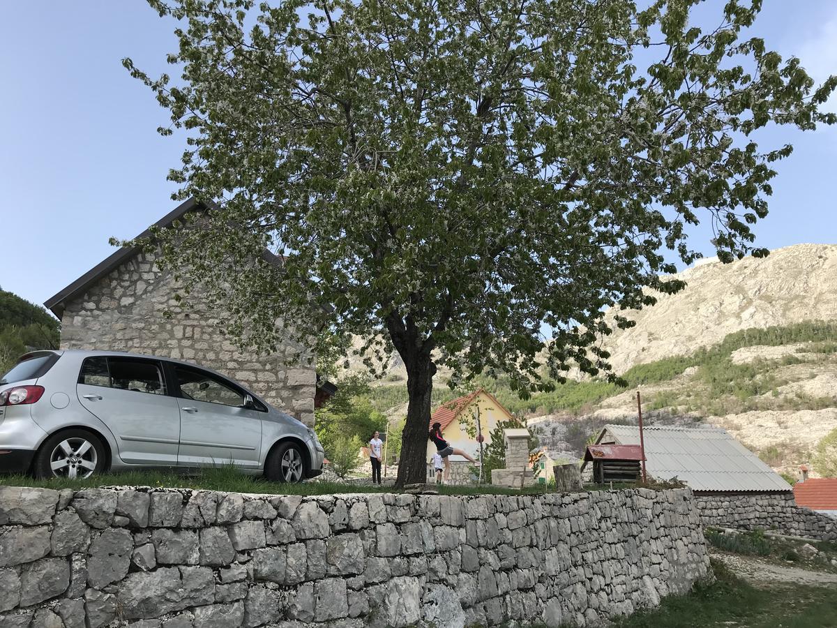 Lovcen Holiday Home 采蒂涅 外观 照片