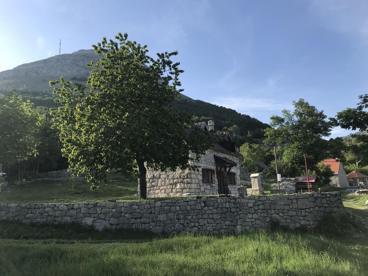 Lovcen Holiday Home 采蒂涅 外观 照片