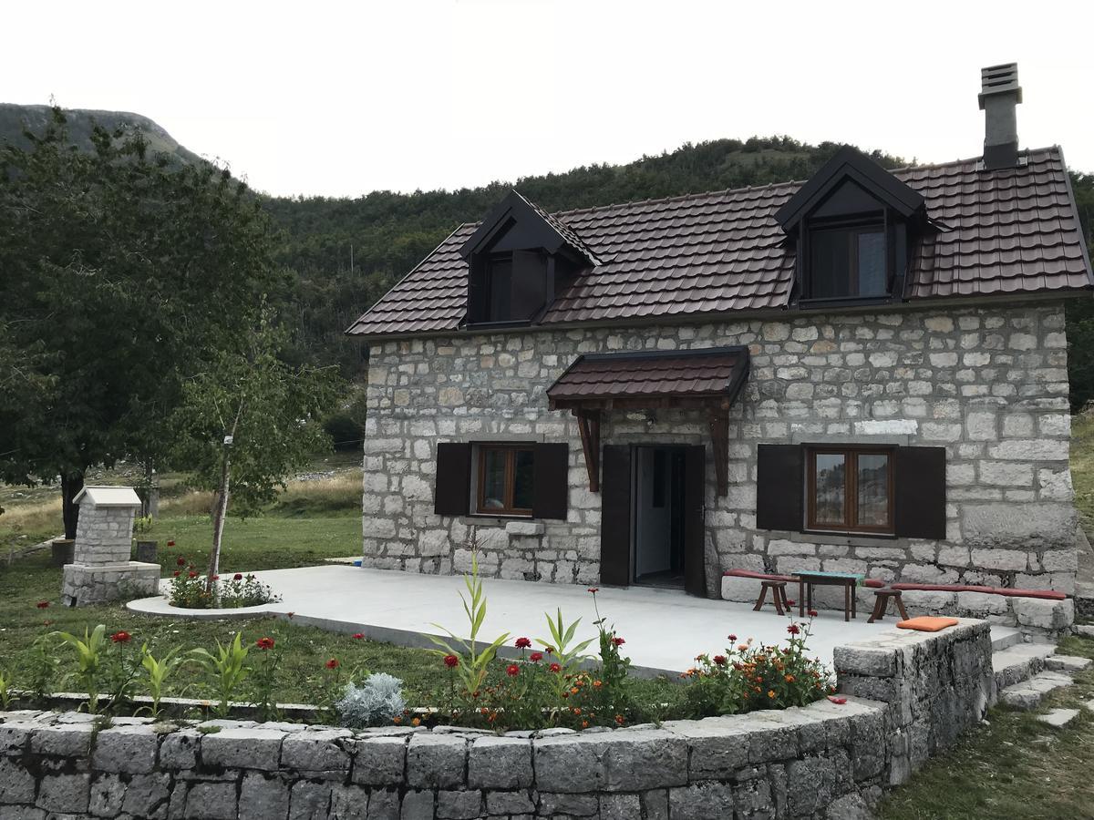 Lovcen Holiday Home 采蒂涅 外观 照片