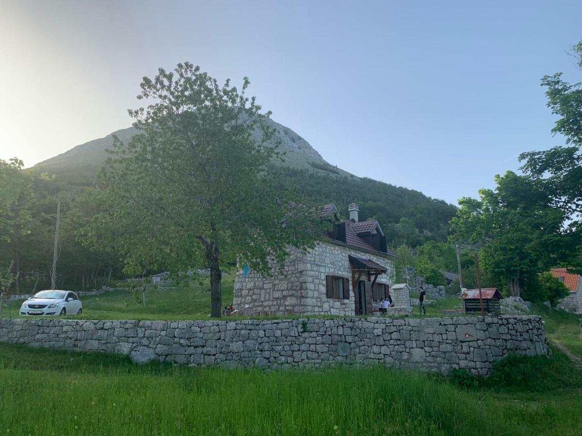 Lovcen Holiday Home 采蒂涅 外观 照片