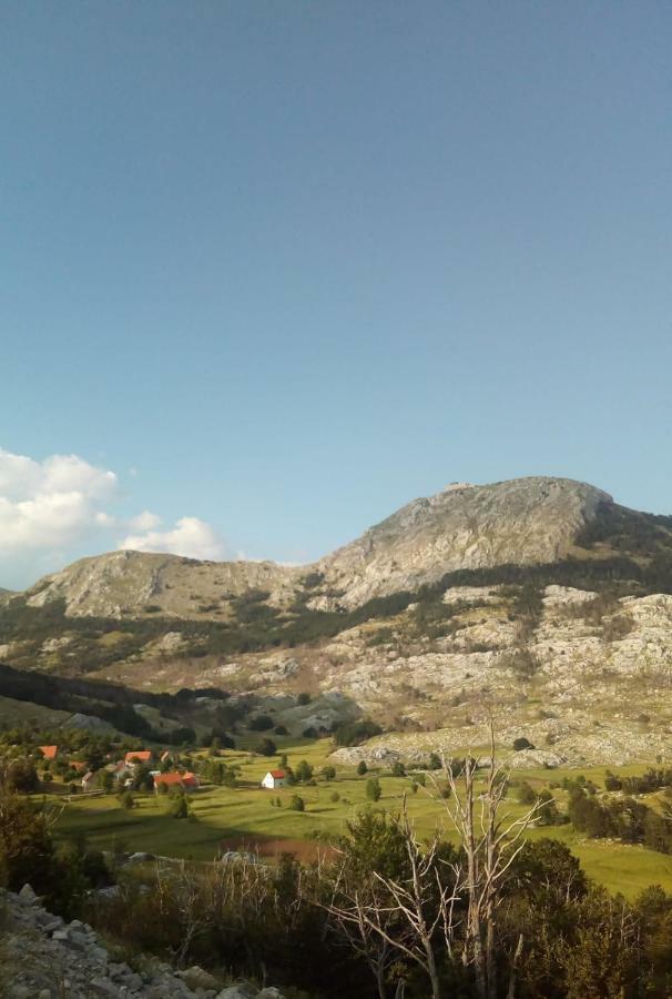 Lovcen Holiday Home 采蒂涅 外观 照片